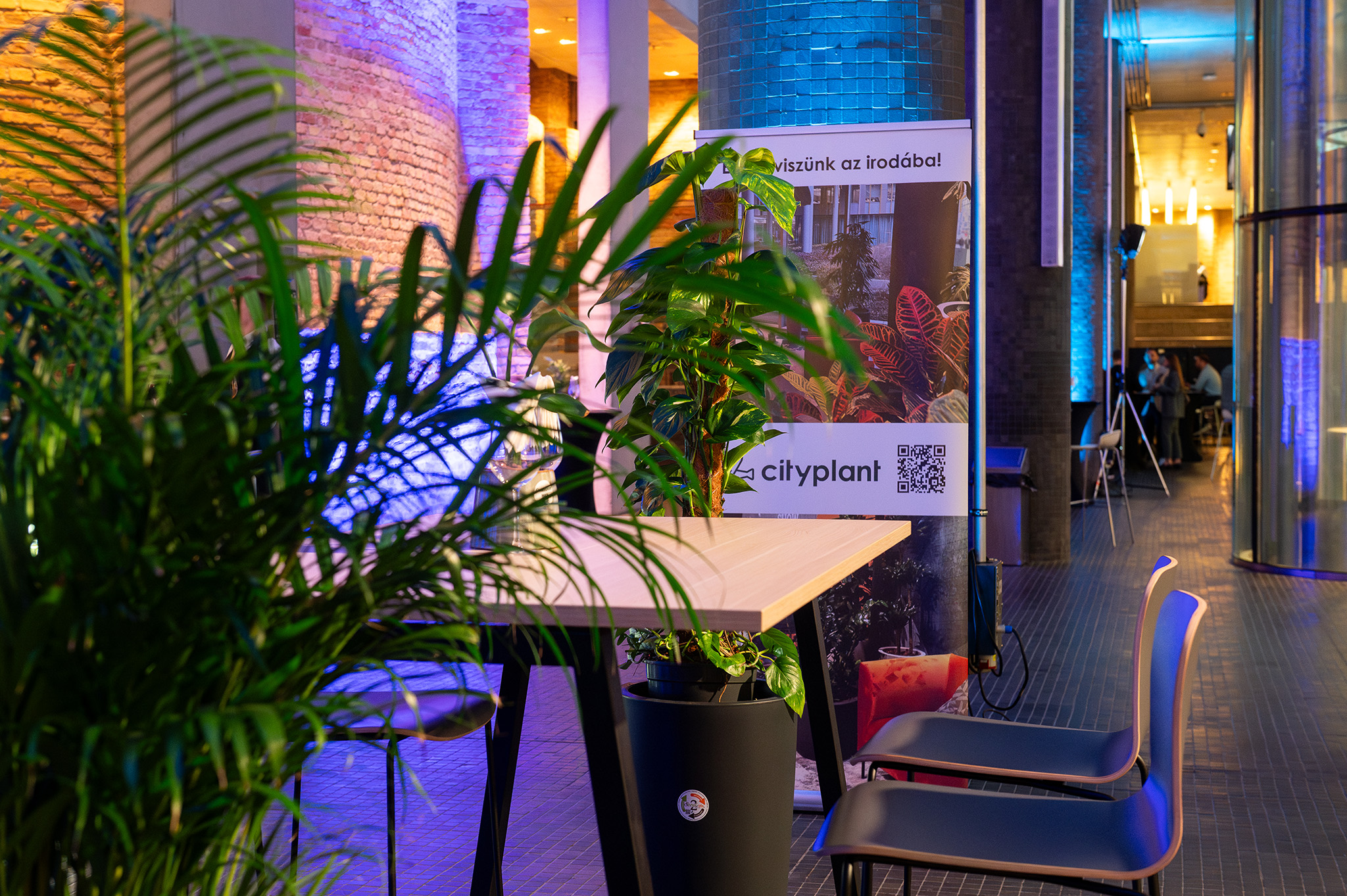 Konferencia pillanatkép